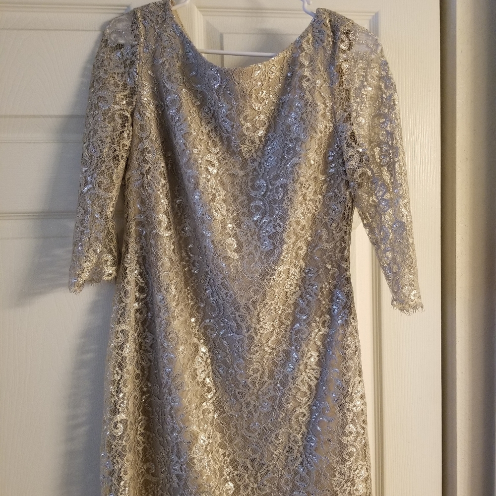 Sz 10P 10 Calvin Klein Silver Nude Midi Dress
